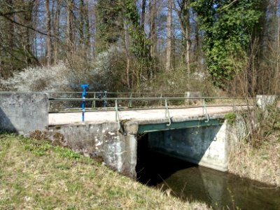 Riedkanal, Brücke am NSG Rastatter Ried