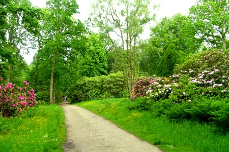 RHS Garden Harlow Carr - North Yorkshire, England - DSC01206