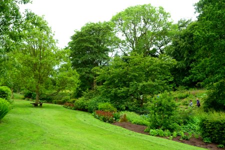 RHS Garden Harlow Carr - North Yorkshire, England - DSC01121