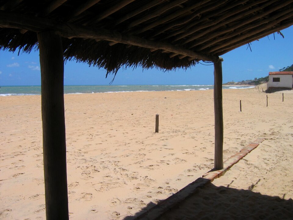 Nature paradise brazilian food