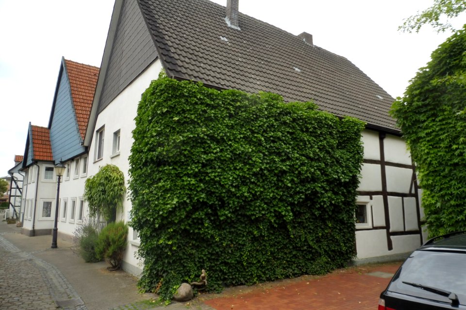 Rheda - Moosstraße 4