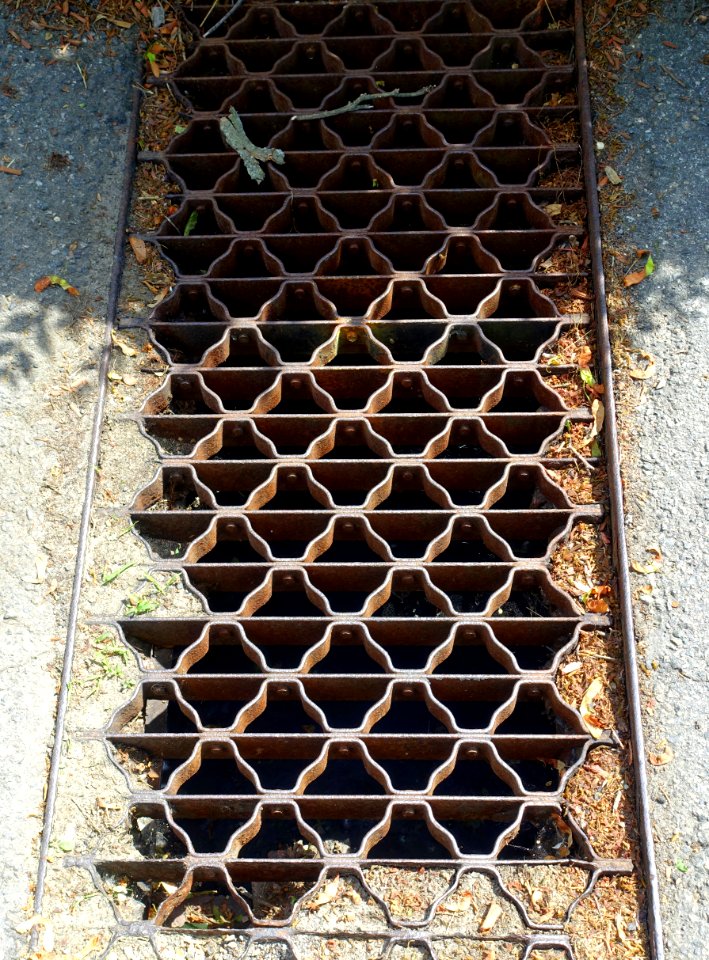 Ribbon grate - Arlington, MA - DSC02454