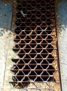 Ribbon grate - Arlington, MA - DSC02454