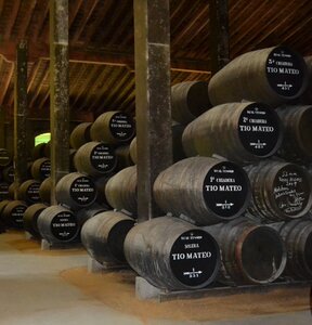 Cask andana viticulture photo