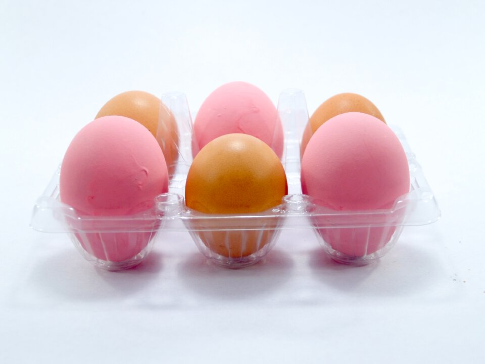 Eggshell cholesterol meal
