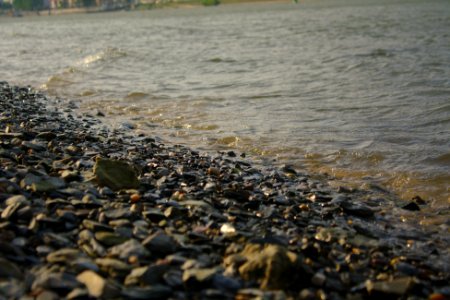 Rhein ufer