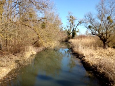 Rheinniederungskanal, kurz vor Einmündung in den Rußheimer Altrhein