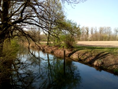 Rheinniederungskanal (Areko), bei Iffezheim (2)