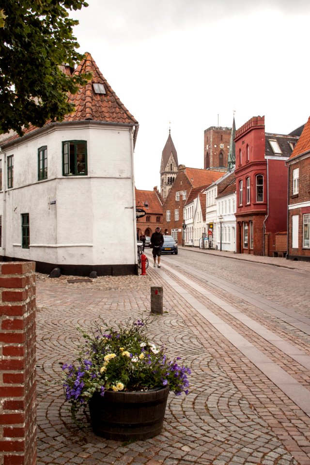 Ribe Dagmarsgade detail 2015-07-27-2