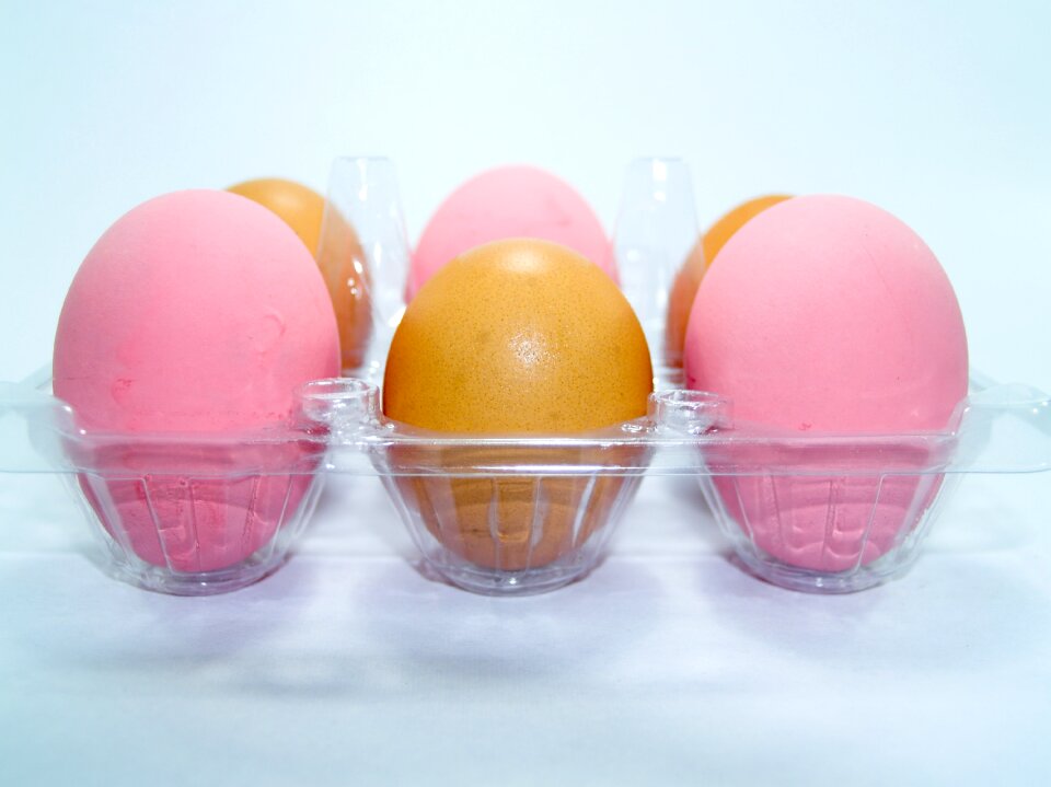 Eggshell cholesterol meal