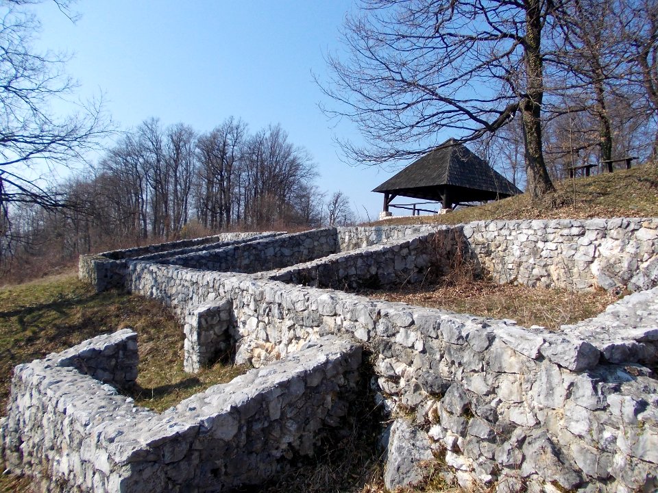 Rifnik Archeological Site 51