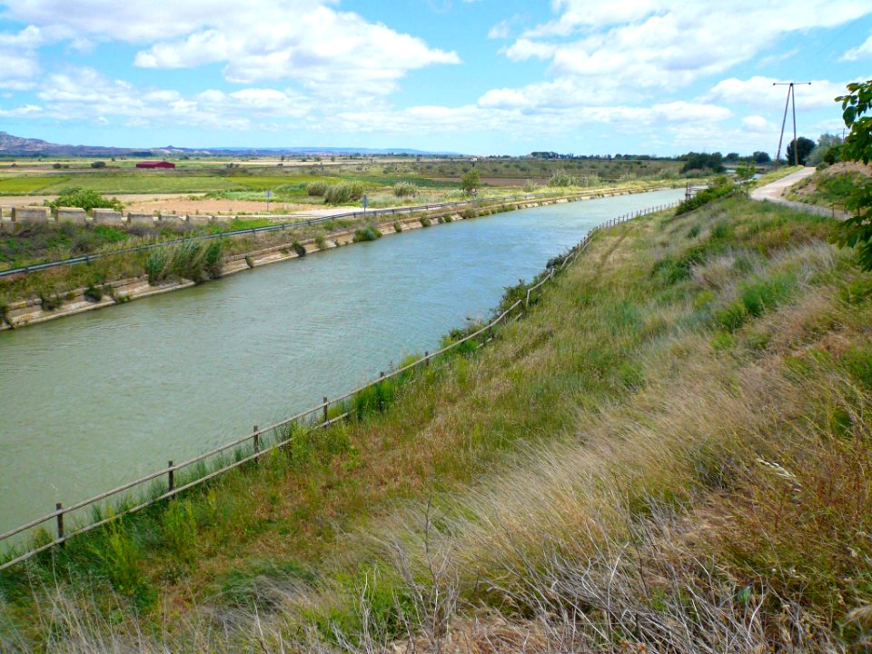 Ribaforada - Canal Imperial de Aragón 2