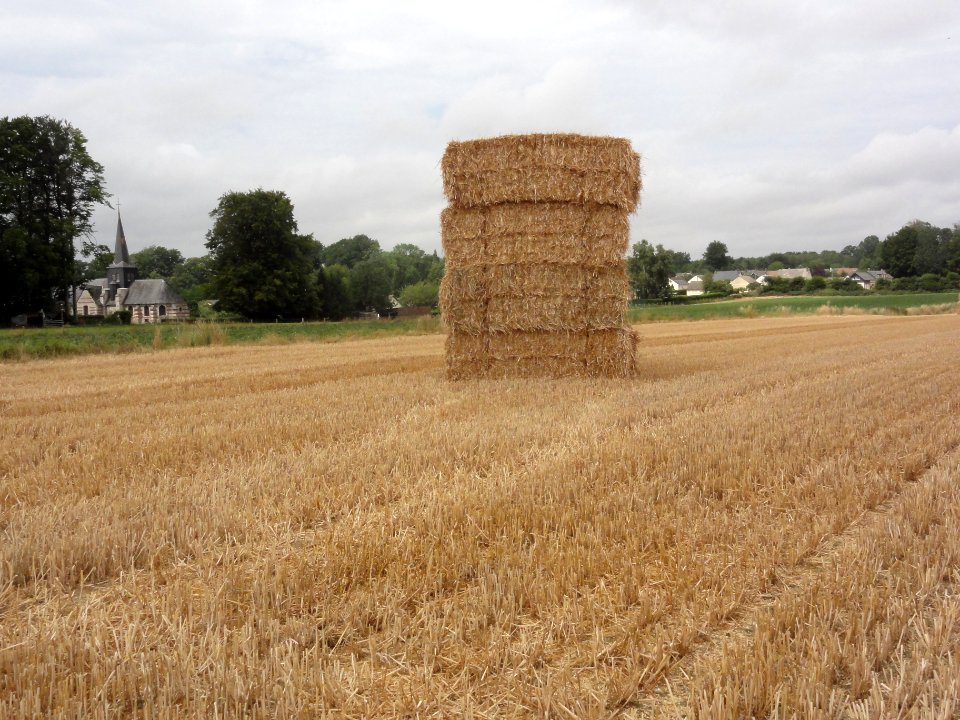 Ricarville (Seine-Mar.) paysage (01)