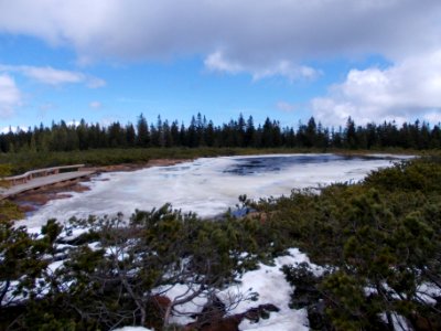 Ribnica Lake 1