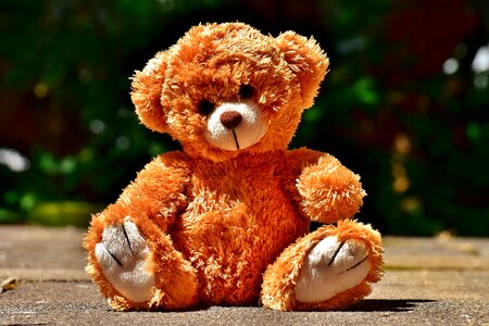 Teddy bear plush stuffed animal photo