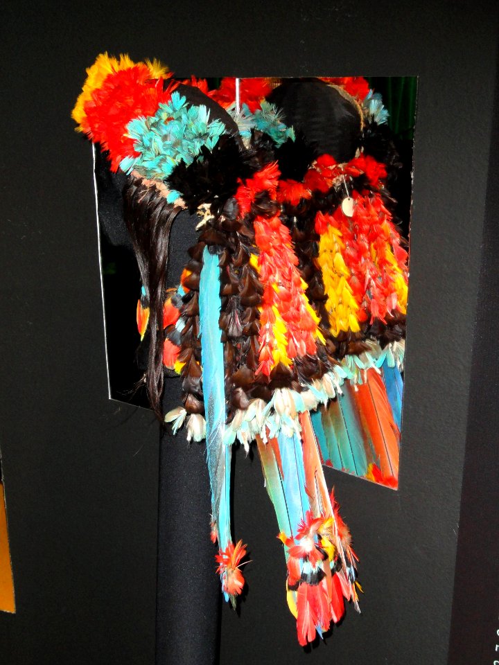 Rikbaktsa feathers - Memorial dos Povos Indígenas - Brasilia - DSC00524