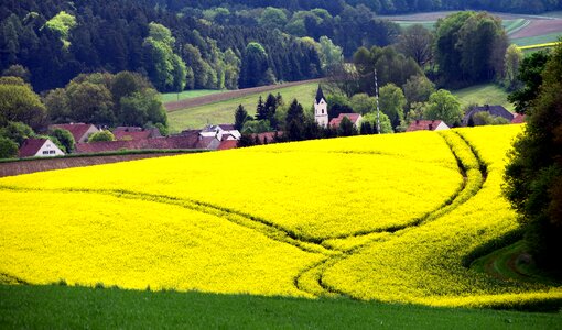 Village country life landscape