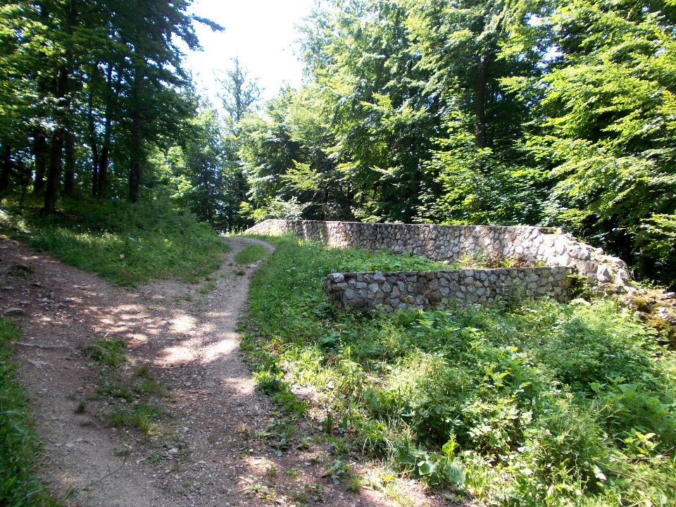 Rifnik Archeological Site 05