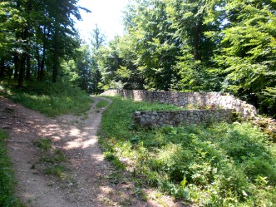 Rifnik Archeological Site 05