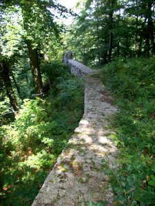 Rifnik Archeological Site 04