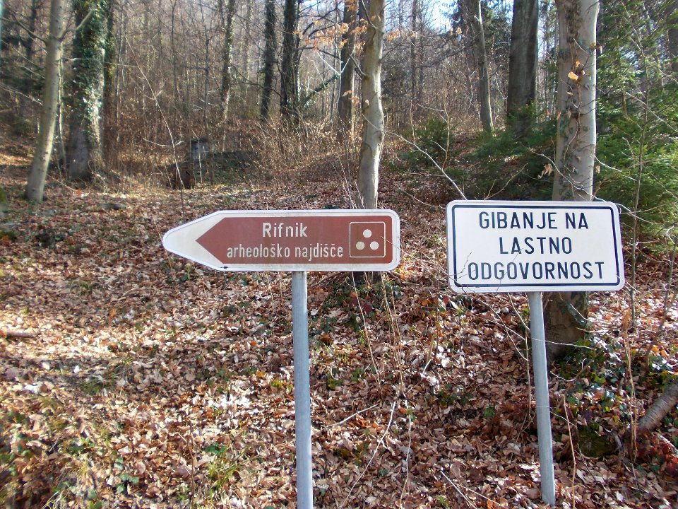 Rifnik Archeological Site 47