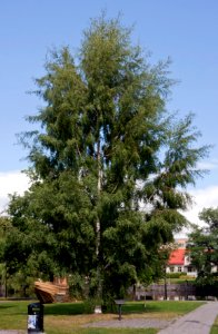 Riksträdet i Örebro