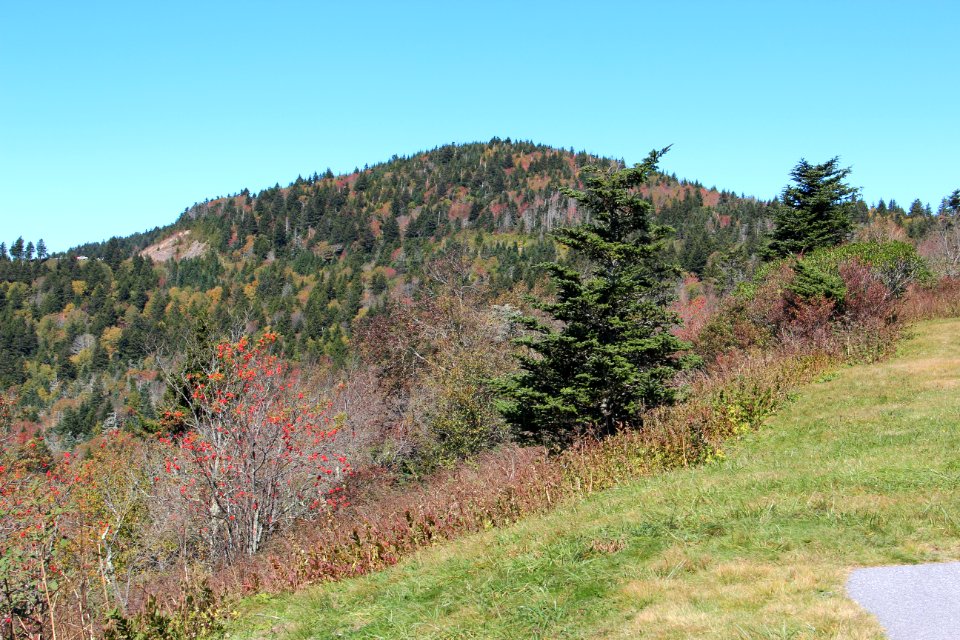 Richland Balsam viewed from Cowee Mountain Overlook, Oct 2016