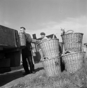 Rieten manden met bloembollen worden in een vrachtwagen geladen, Bestanddeelnr 900-7687