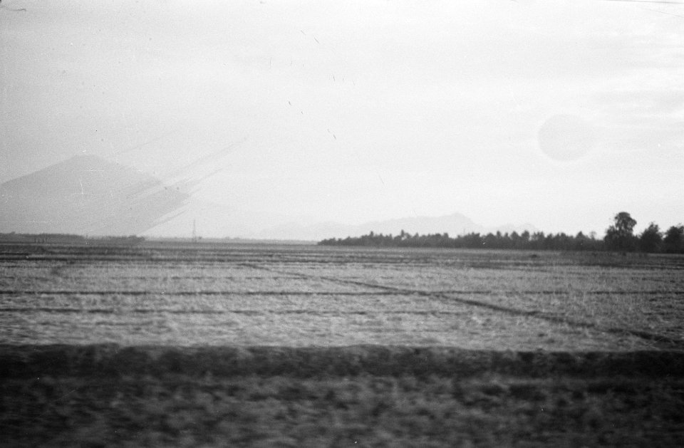 Rijstvelden, Bestanddeelnr 363-5-4