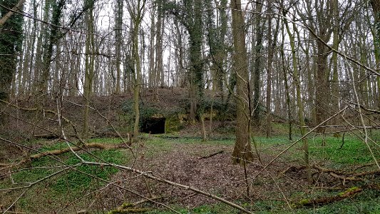 Rijckholt-Lebensboschgroeve (4)