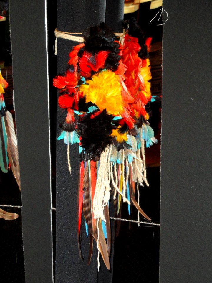 Rikbaktsa feathers - Memorial dos Povos Indígenas - Brasilia - DSC00525