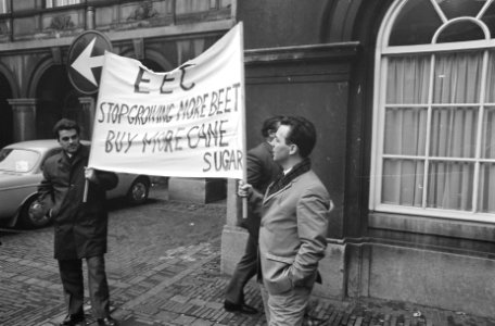 Rietsuikeractie 1968 de demonstranten op het Binnenhof, Bestanddeelnr 921-9093
