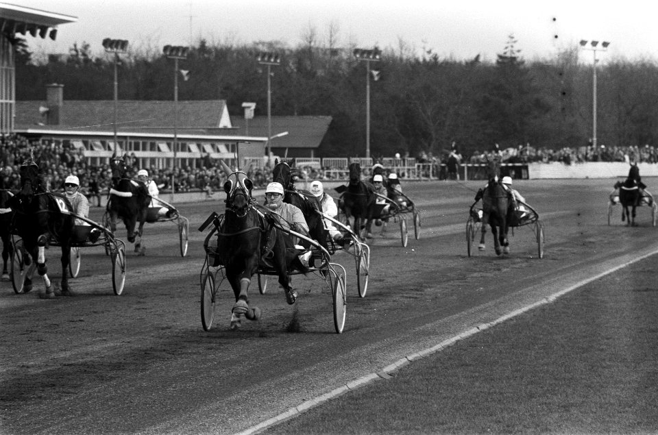 Rijders kampioenschap Pikeurs in Hilversum, Jan van Dooyeweerd in aktie, Bestanddeelnr 926-2871