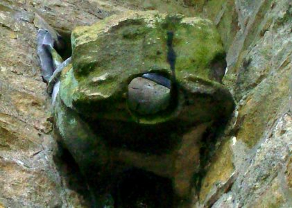 Ribchester gargoyle