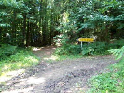 Rifnik Archeological Site 01
