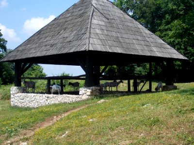 Rifnik Archeological Site 43