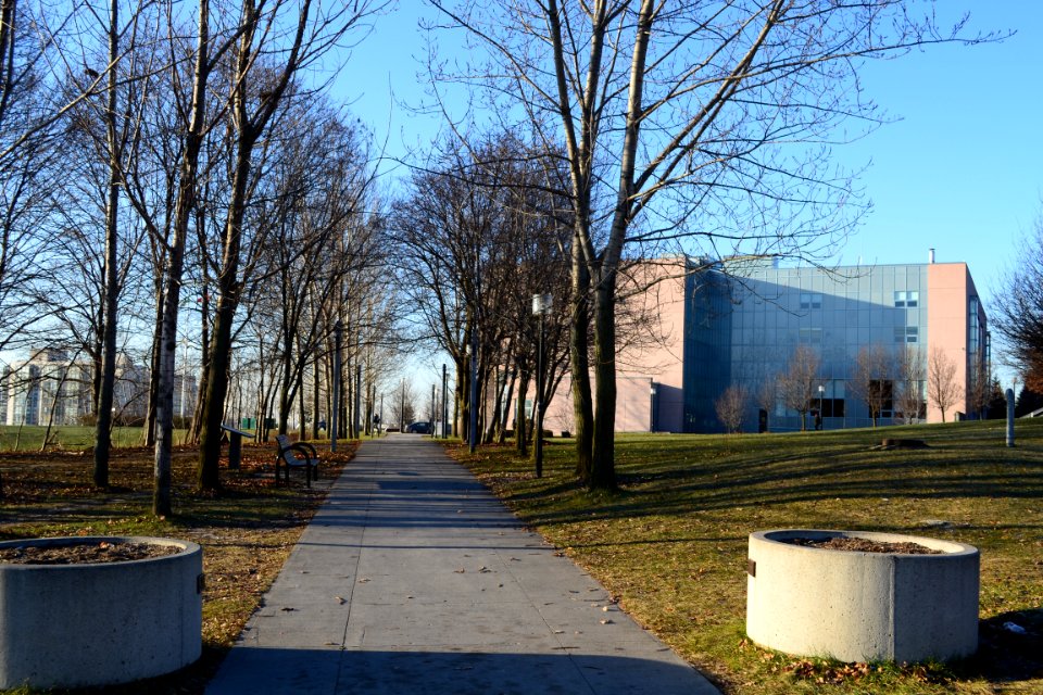 RichmondHillPublicLibrary7