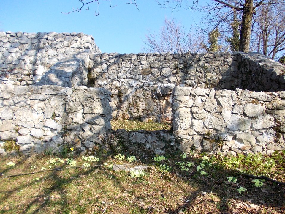 Rifnik Archeological Site 55