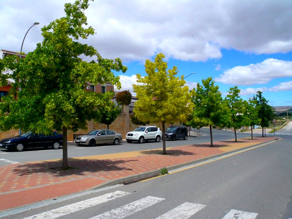 Ribaforada 14