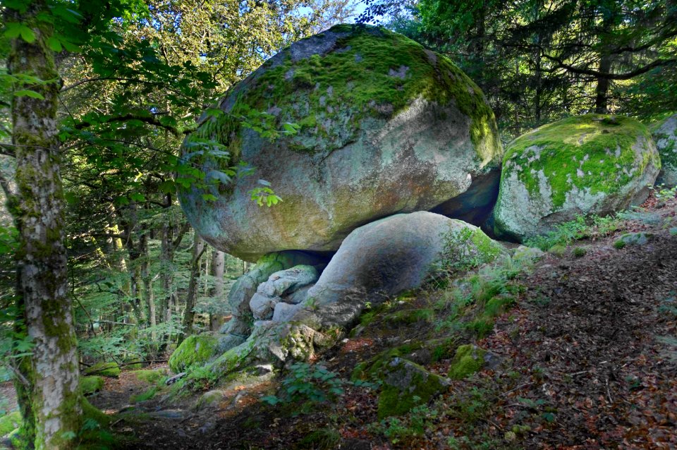 Rickenbach Jungholz Solfelsen