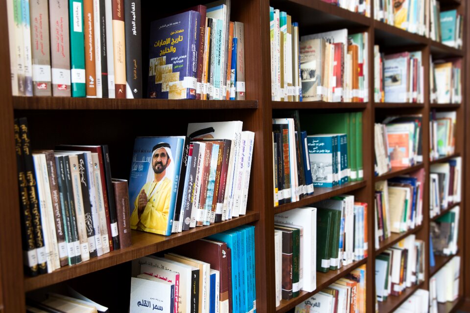 Library education literature