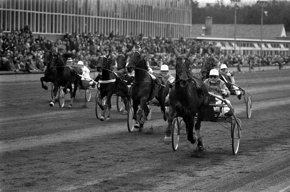 Rijders kampioenschap Pikeurs in Hilversum, Bestanddeelnr 926-2874