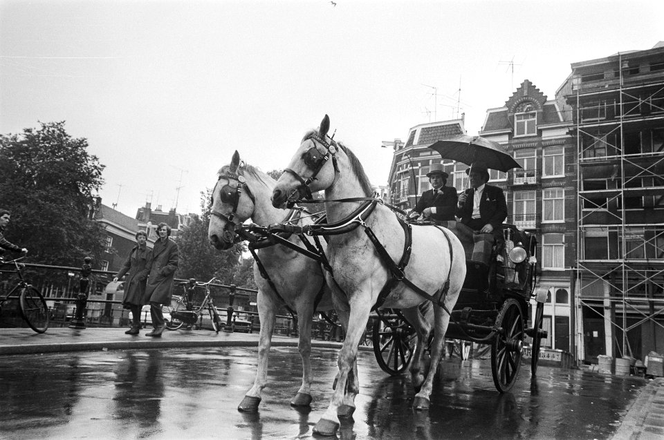 Rijtuigendag in Amsterdam tweespan op brug Prinsengracht, Bestanddeelnr 929-2348
