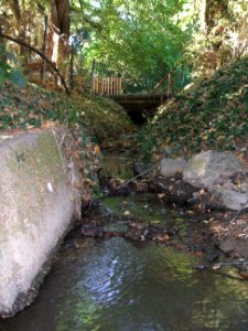 Riedgraben vor Einmündung in Seebach
