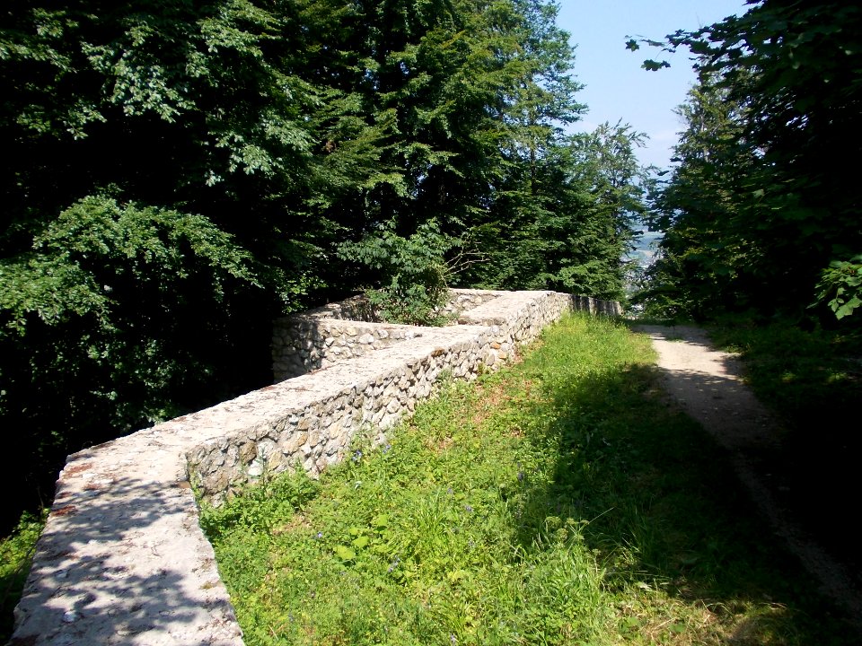 Rifnik Archeological Site 07