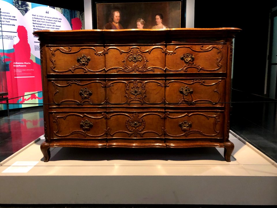 Rijksmuseum Boerhaave in 2019 foto 14