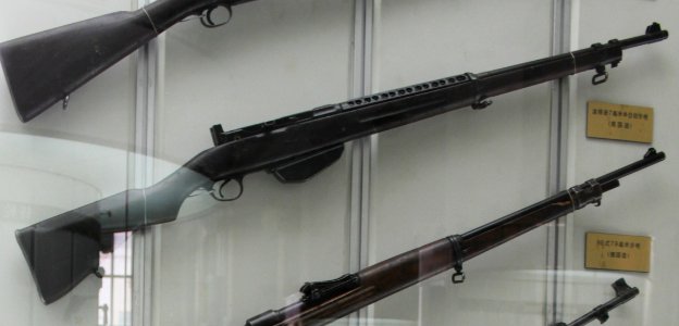 Rifles (9885363993) 2