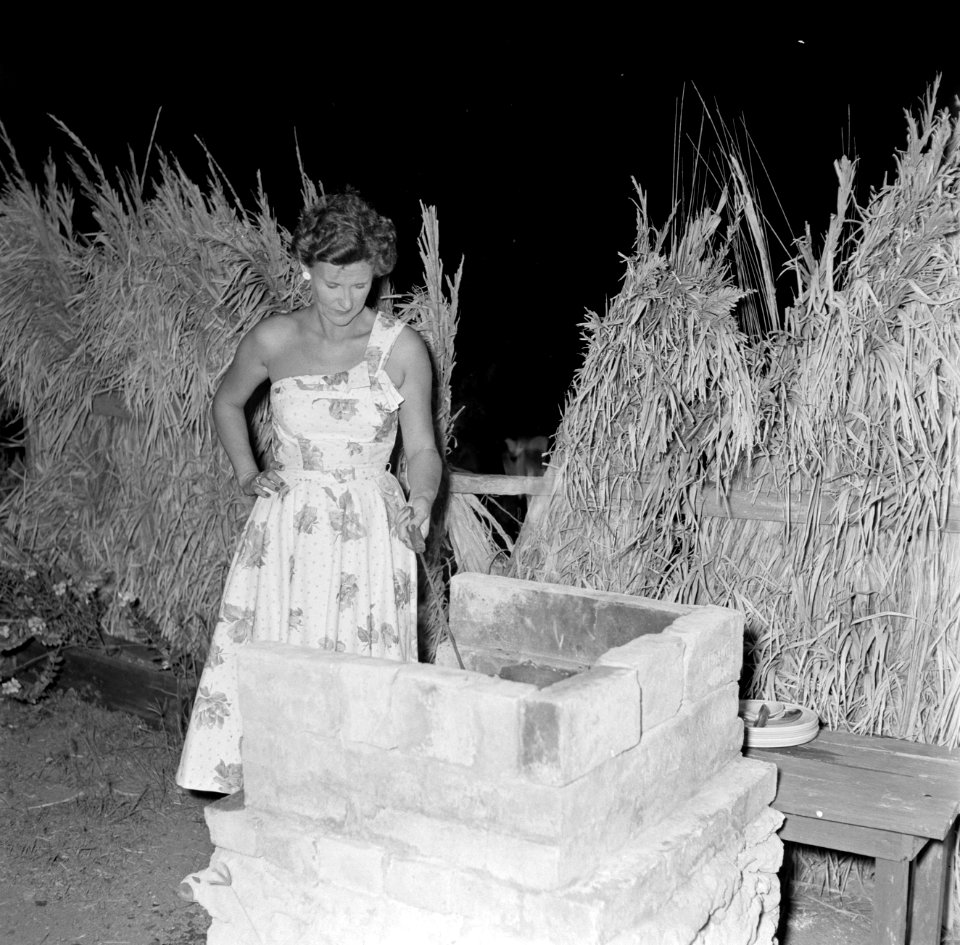 Rietje Roelofs aan het barbecuen, Bestanddeelnr 252-2698