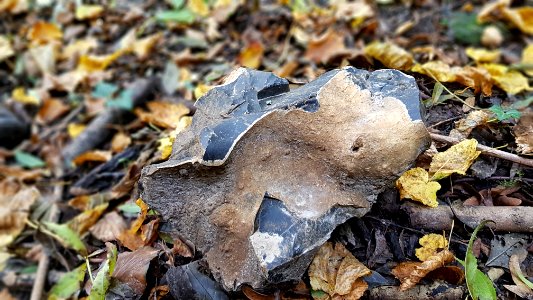 Rijckholt-Schone Grub vuursteenmijntjes (5)
