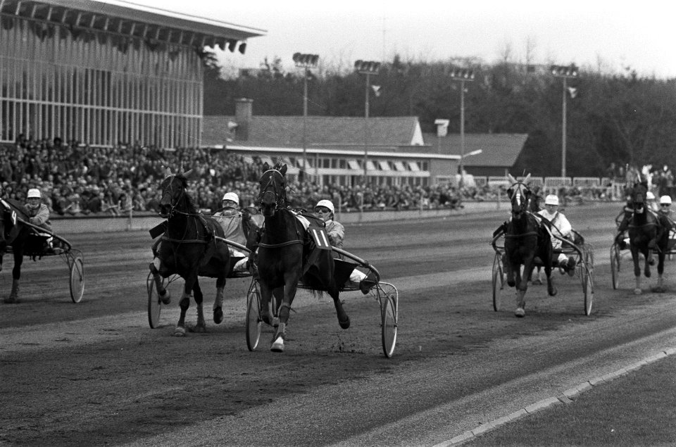 Rijders kampioenschap Pikeurs in Hilversum, Bestanddeelnr 926-2875